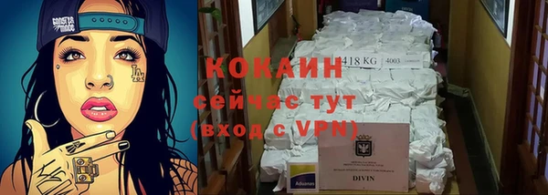 спиды Ельня