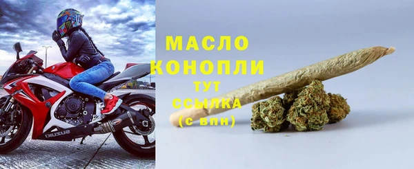 спиды Ельня