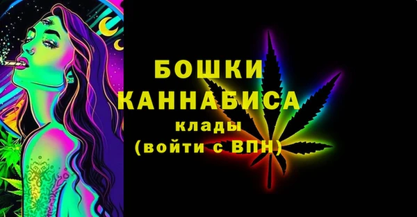 спиды Ельня