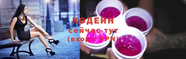 спиды Ельня