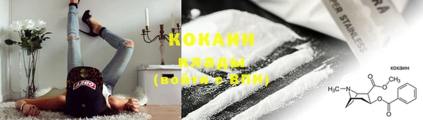 спиды Ельня