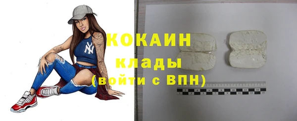 спиды Ельня