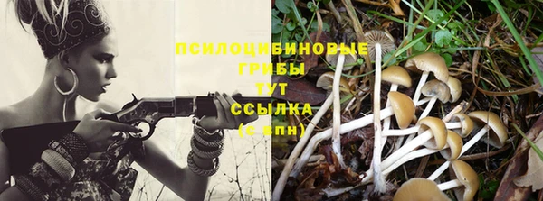 спиды Ельня