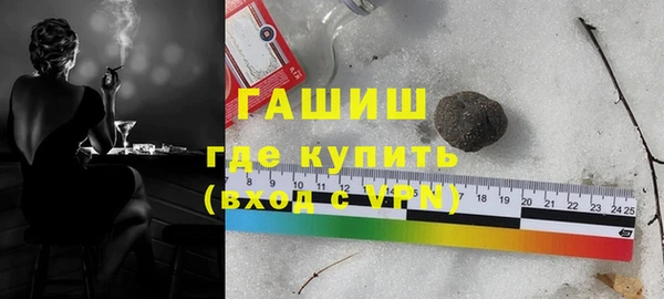спиды Ельня